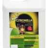 Huile à La Citronnelle Pour Torche Et Lampe à Huile Siam, 5l 2 Huile à La Citronnelle Pour Torche Et Lampe à Huile Siam, 5l -Meilleur Décoration Magasin 2 37