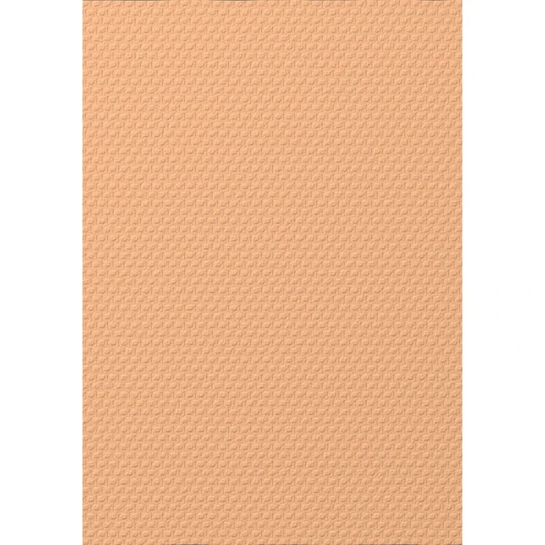 Fibre De Verre 100 G/m² Maille, Prépeint 3 Fibre De Verre 100 G/m² Maille, Prépeint