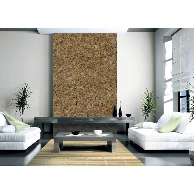 Lot De 5 Dalles De Liège Murales, Naturel, L.60 X L.30 Cm 3 Lot De 5 Dalles De Liège Murales, Naturel, L.60 X L.30 Cm