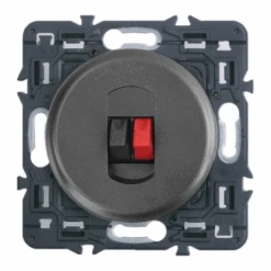 Legrand Céliane – Prise Haut -Parleur Simple – Ensemble Graphite à Composer