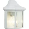 Applique Extérieure E27 Max 60W Blanc Newport BRILLIANT